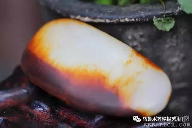 沁红料