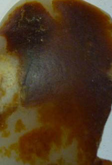 dvubb 图片点击可在新窗口打开查看