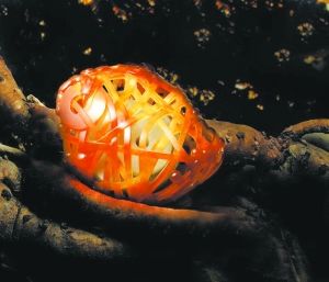 dvubb 图片点击可在新窗口打开查看